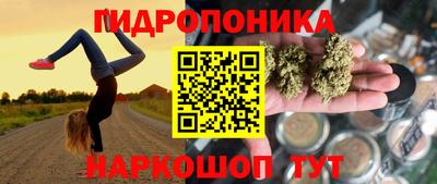 гидра Партизанск