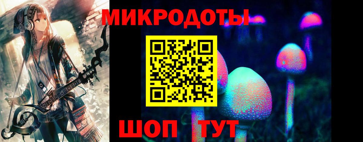 где найти   Вход с VPN  Северобайкальск  Псилоцибиновые грибы мухоморы 