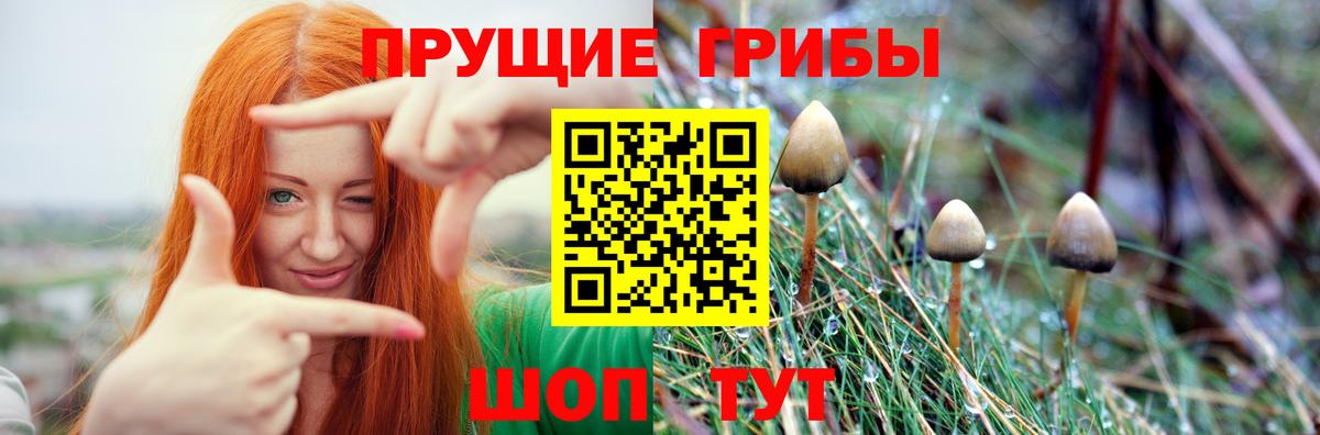 Псилоцибиновые грибы GOLDEN TEACHER Северобайкальск