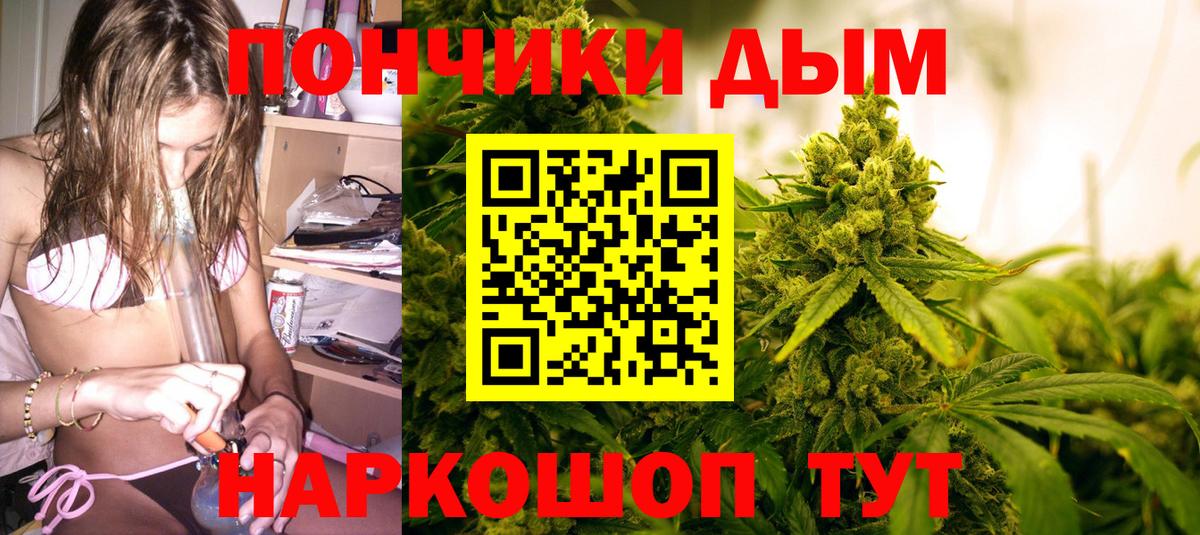 Канабис Bruce Banner  Вход с VPN  МАРИХУАНА планчик  Северобайкальск 